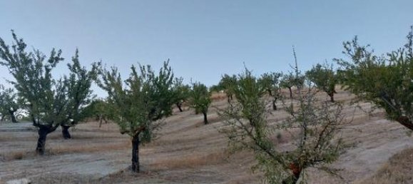60500m² Land in Granada, Spain No. 134786 7