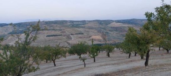 60500m² Land in Granada, Spain No. 134786 2