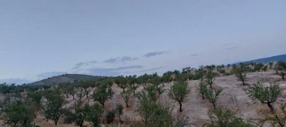 60500m² Land in Granada, Spain No. 134786 5