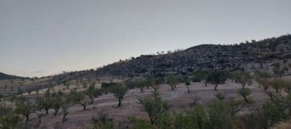 60500m² Land in Granada, Spain No. 134786 3