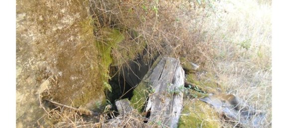 3 bedrooms House in Proenca a Nova, Portugal No. 32576 27