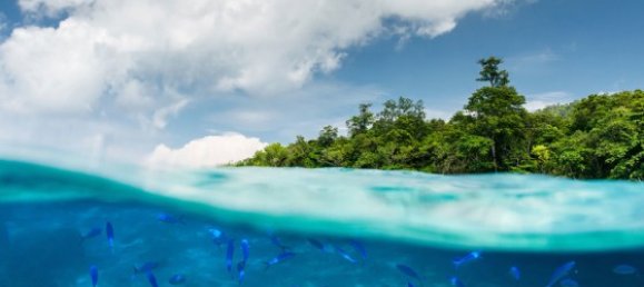 2 bedrooms Condo in Mai Khao, Thailand No. 12330 19