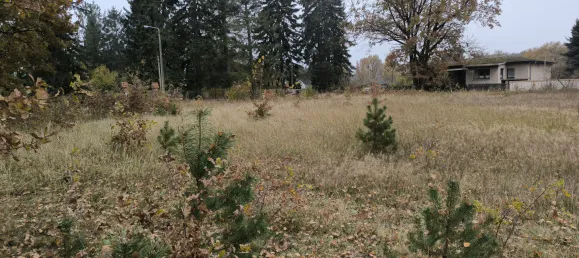  Land in Dahme-Spreewald, Germany No. 116844 3