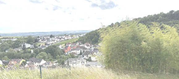 4 غرف نوم منزل في Rheingau-Taunus, Germany رقم 242263 3