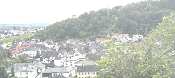 4 غرف نوم منزل في Rheingau-Taunus, Germany رقم 242263 4