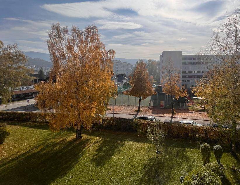 Квартира с 3 спальнями в Штейр, Австрия № 107817