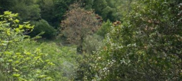 Земельный участок в Терни, Италия № 317206 10