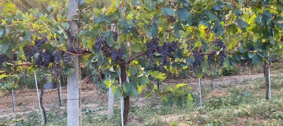 Земельный участок в Терни, Италия № 317206 3