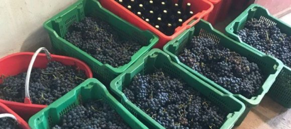 Земельный участок в Терни, Италия № 317206 6