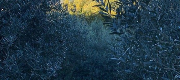 Земельный участок в Терни, Италия № 317206 11