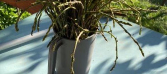 Земельный участок в Терни, Италия № 317206 7