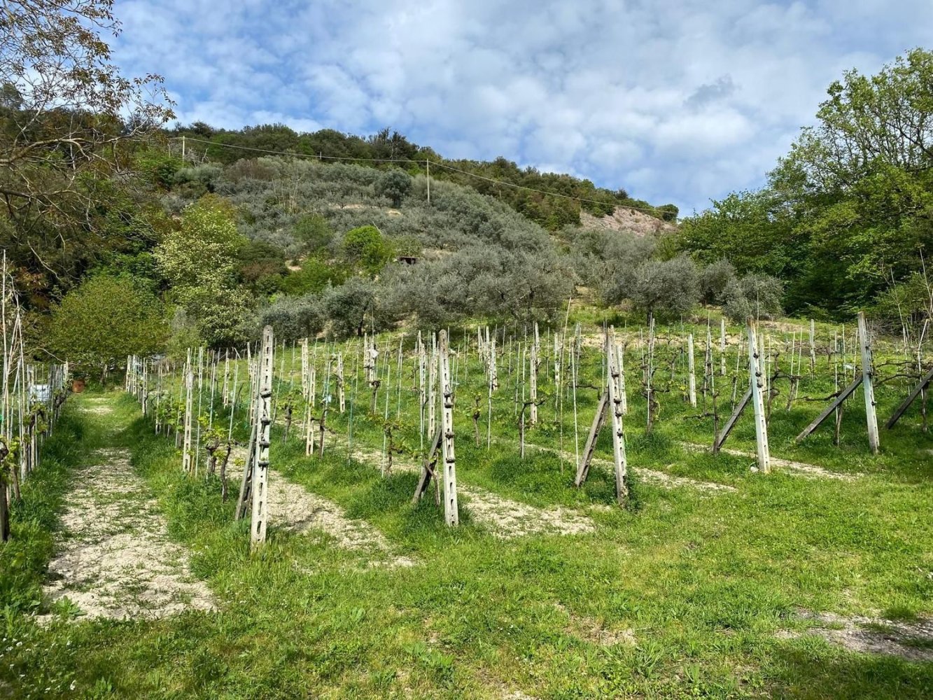 Земельный участок в Терни, Италия № 317206