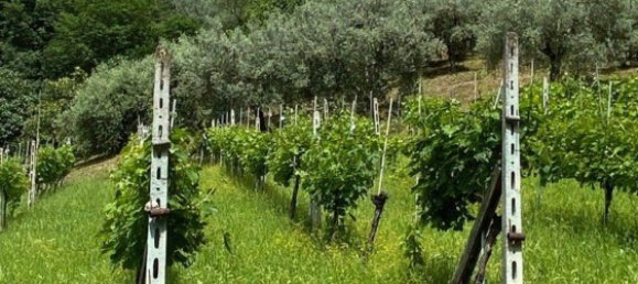 Земельный участок в Терни, Италия № 317206 9