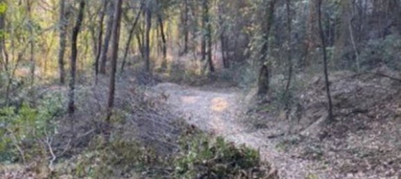 Земельный участок в Терни, Италия № 317206 2