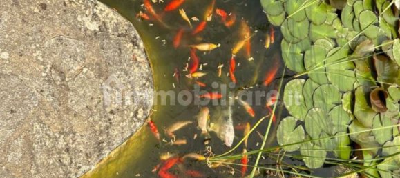 4 غرف نوم فيلا في Sassari, Italy رقم 221254 13