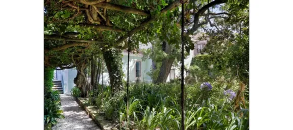 6 bedrooms Castles in Sintra, Portugal No. 117227 6