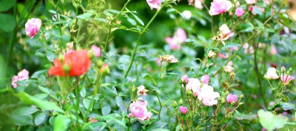 3غرفة منزل في Gaaden, Austria رقم 193406 13