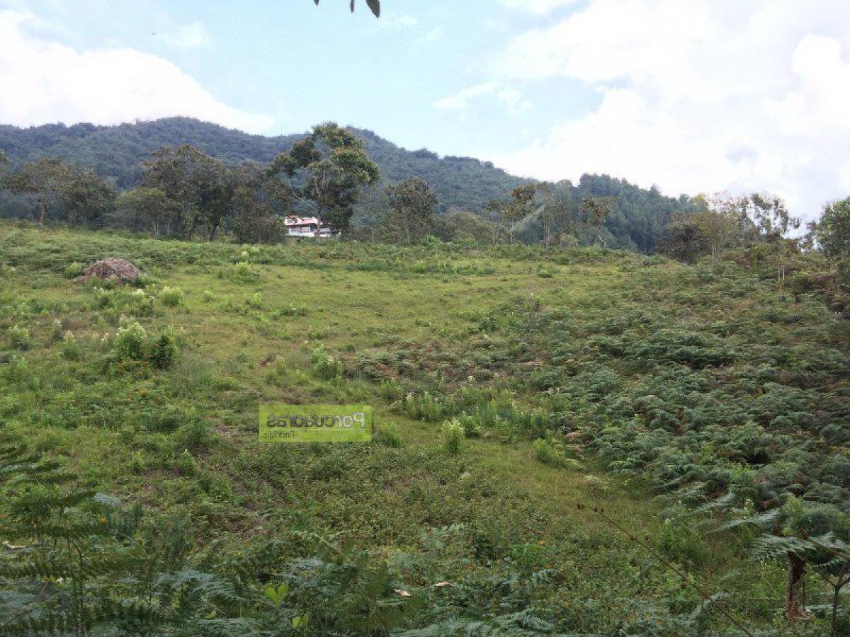 Land in Antioquia, Colombia No. 521