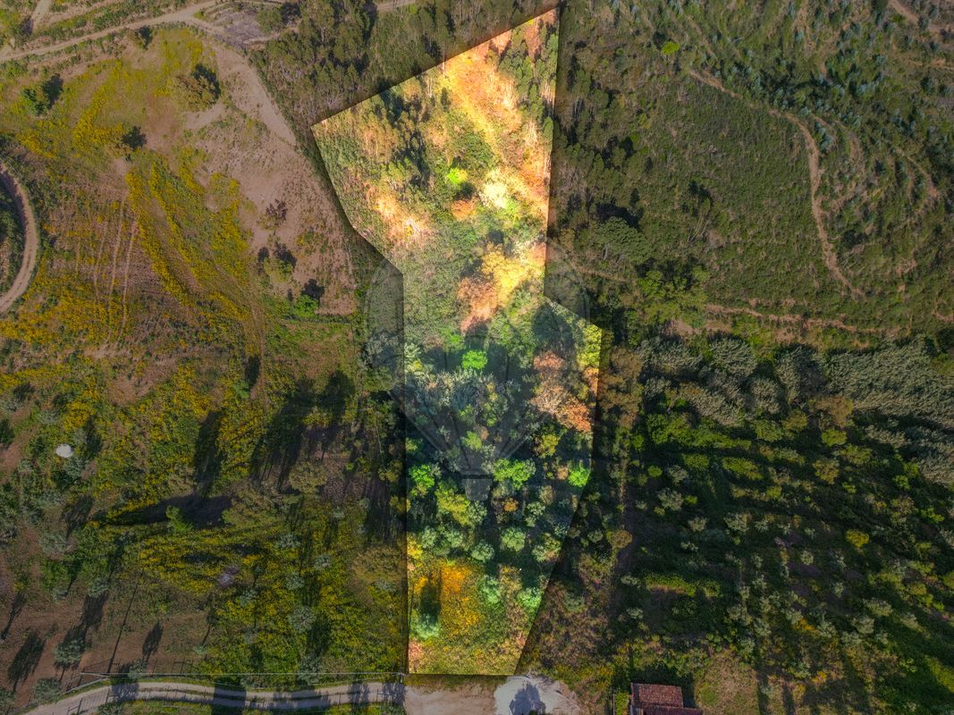 6000m² Land in Praia do Ribatejo, Portugal No. 82930