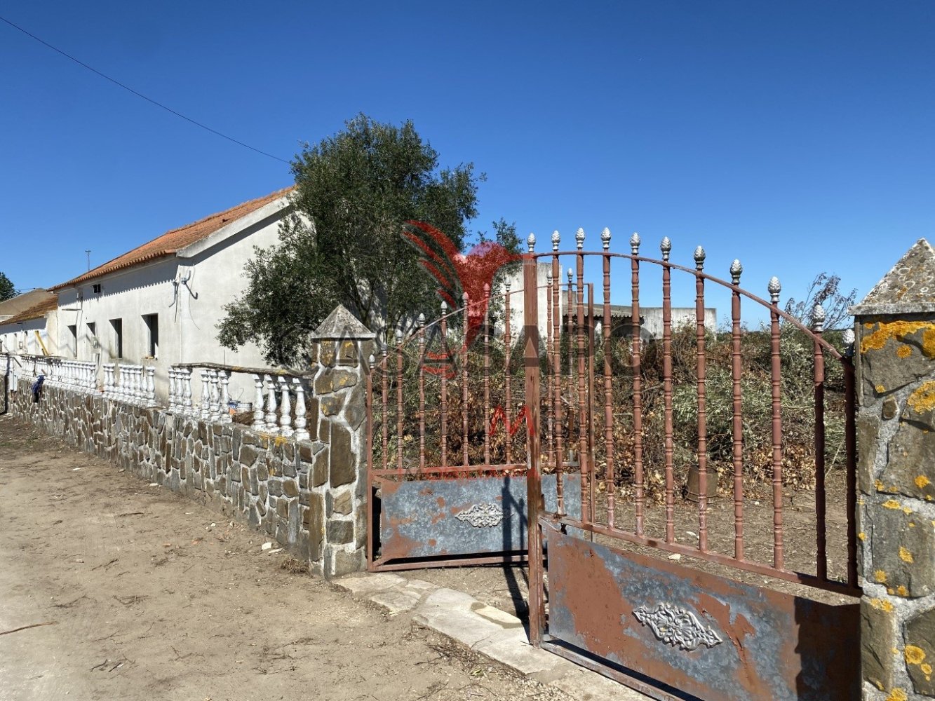 12 bedrooms House in Quarteira, Portugal No. 202399