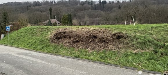 Grundstück in Ernolsheim-les-Saverne, France, Nr. 43406 3