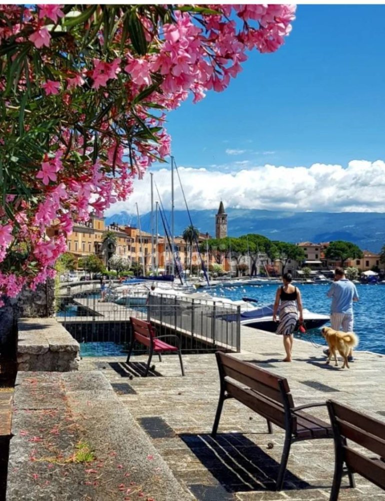 1 bedroom Apartment in Toscolano Maderno, Italy No. 351872