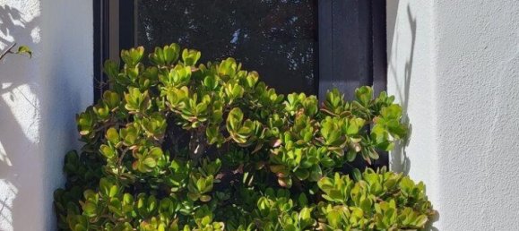 6 bedrooms Villa in Faro, Portugal No. 132374 5