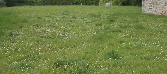 3 bedrooms Commercial property in Le Ham, France No. 1836 12