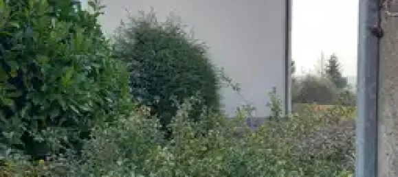 Таунхаус с 5 комнатами в Цвиккау, Германия № 41577 4