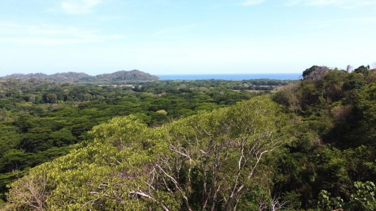 Land for sale in Nicoya, Guanacaste, Costa Rica № 1587