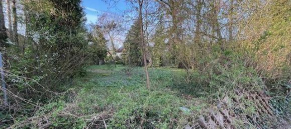 4غرفة منزل في Thalheim bei Wels, Austria رقم 156867 5