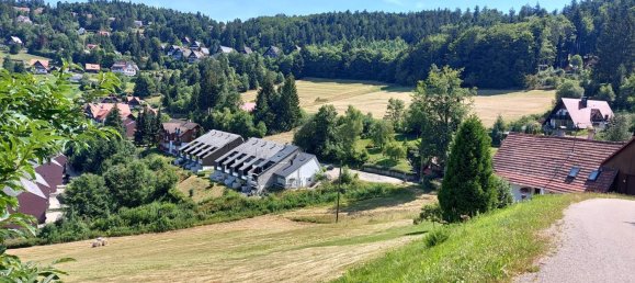 Grundstück in Ortenaukreis, Germany, Nr. 3521 2