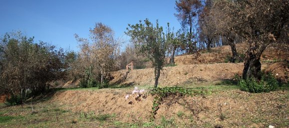 2 bedrooms House in Pousaflores, Portugal No. 28451 10