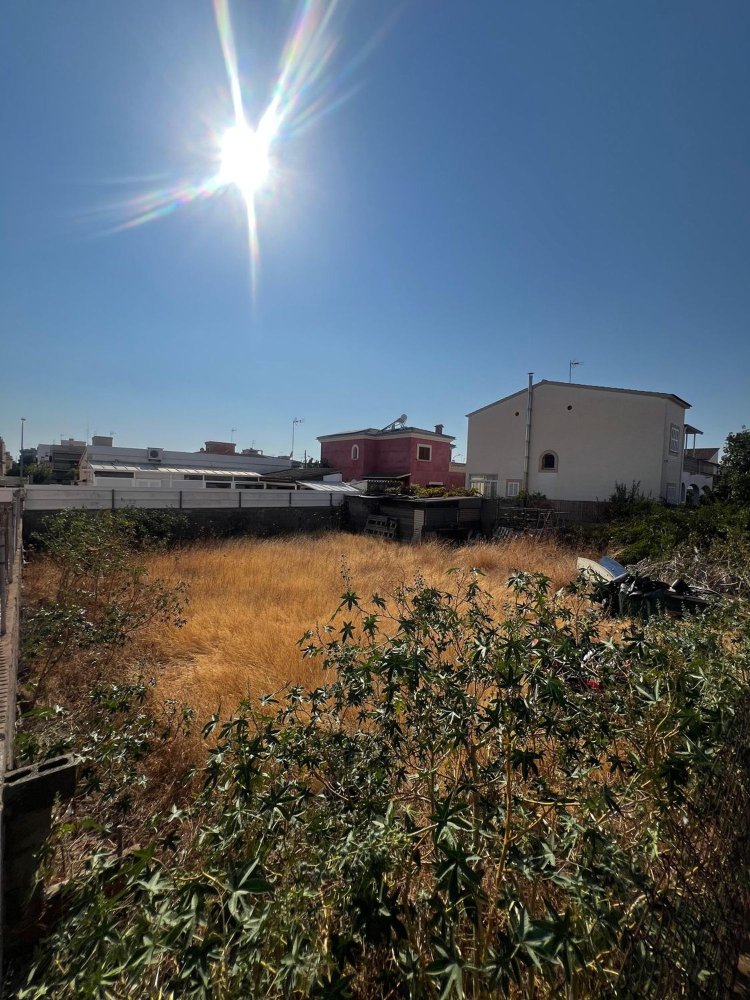  Land in Mallorca, Spain No. 193810