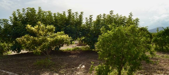 6 bedrooms Villa in Villajoyosa, Spain No. 10226 15