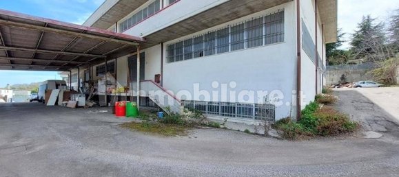 2311m² Warehouse in Acquaviva Picena, Italy No. 318893 19