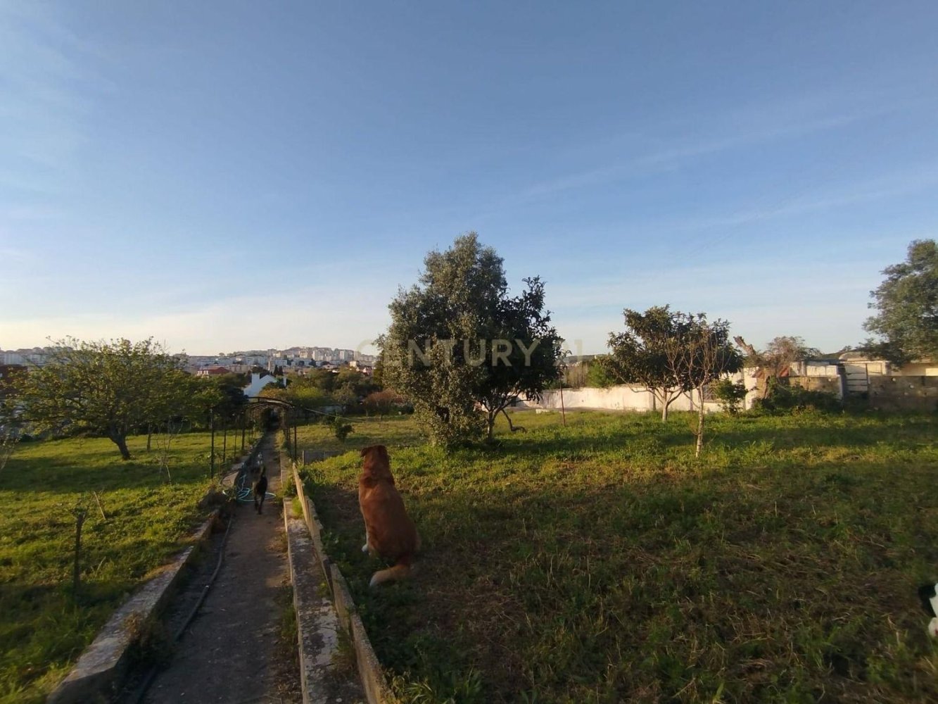 6 bedrooms House in Sintra, Portugal No. 331288