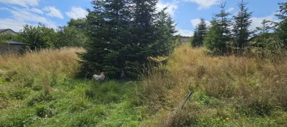 4 Schlafzimmer Haus in Vulkaneifel, Germany, Nr. 321797 3