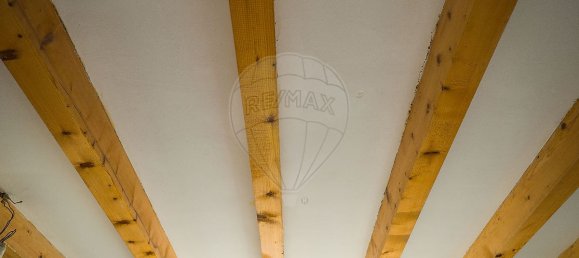 4 bedrooms House in Sangalhos, Portugal No. 26443 29