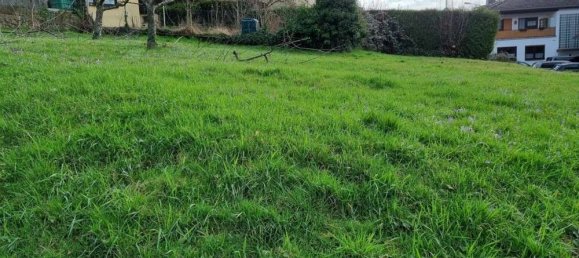  Land in Odenwaldkreis, Germany No. 59646 4