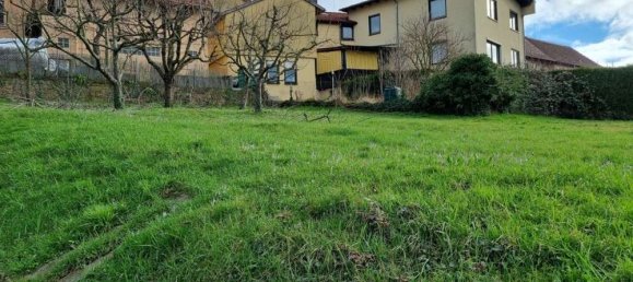  Land in Odenwaldkreis, Germany No. 59646 3