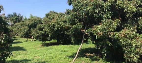  Land in Pa Sang, Thailand No. 58389 7