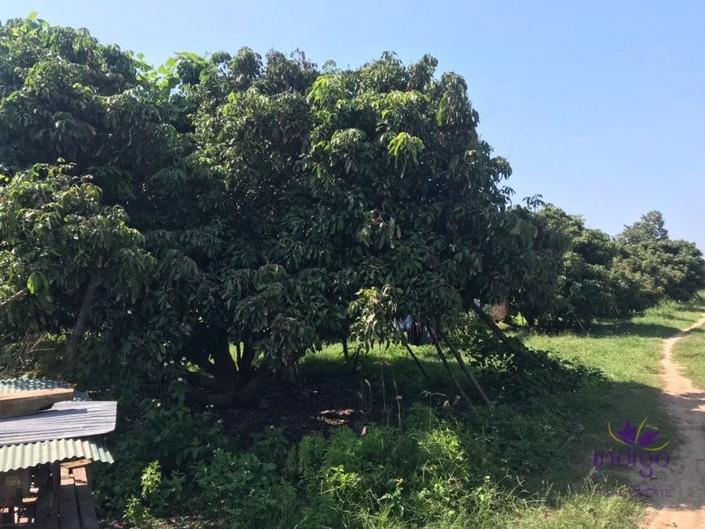 Terreno em Pa Sang, Thailand N.º 58389