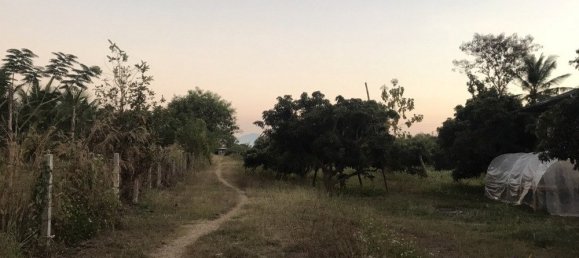  Land in Pa Sang, Thailand No. 58389 5