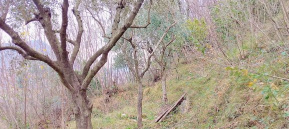 15000m² Land in Cava de' Tirreni, Italy No. 164908 5