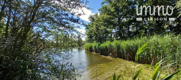 3 bedrooms Villa in La Ferte-Saint-Cyr, France No. 63160 6