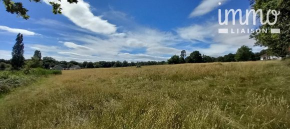 3 bedrooms Villa in La Ferte-Saint-Cyr, France No. 63160 23