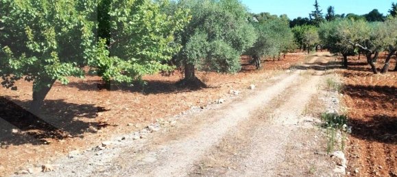 2 rooms House in Putignano, Italy No. 23497 13