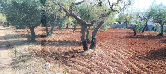 2 rooms House in Putignano, Italy No. 23497 7