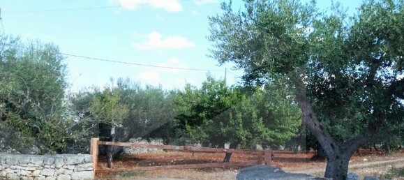 2 rooms House in Putignano, Italy No. 23497 11